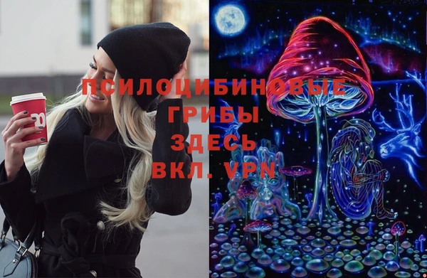 стаф Богородск