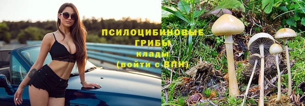 стаф Богородск