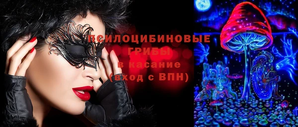 стаф Богородск