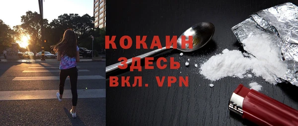 крисы Богородицк