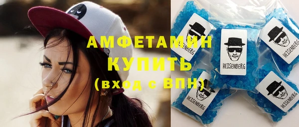 крисы Богородицк