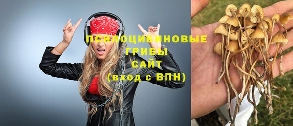 героин Бородино
