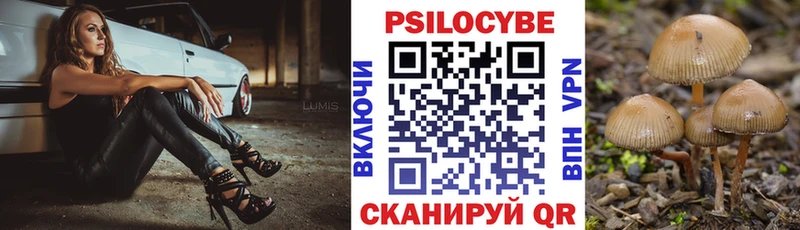 продажа наркотиков  KRAKEN как зайти  Галлюциногенные грибы MAGIC MUSHROOMS  Белая Холуница 